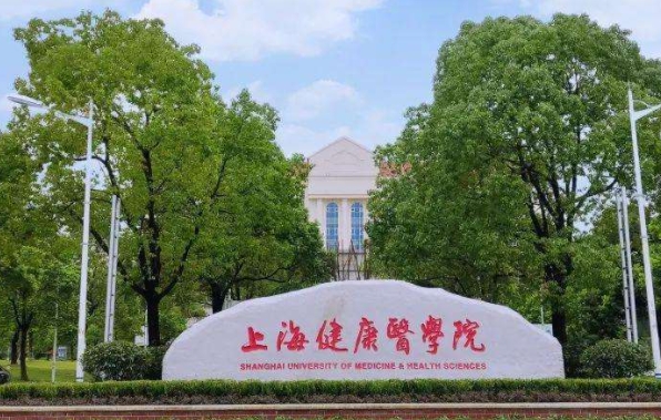 在上海高考265分算什么水平（近三年）上海高考265分能上的大学