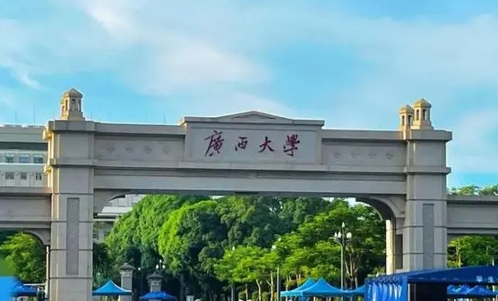 2024广西壮族自治区大学分档排名