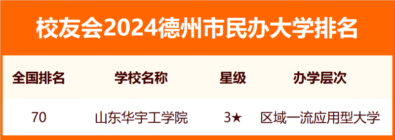 2024德州市大学排名