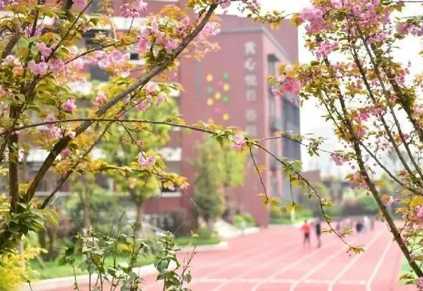 重庆市渝北中学校地址，乘车路线