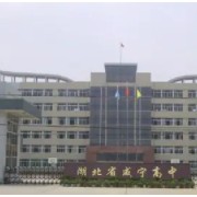 湖北省咸宁高级中学
