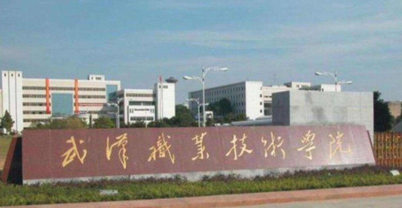 2024武汉专科大学有哪些？附武汉专科学校排名前十名单