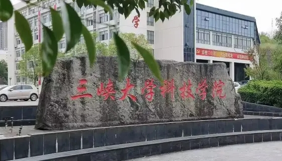 云南高考491分能上什么大学（2024年参考）