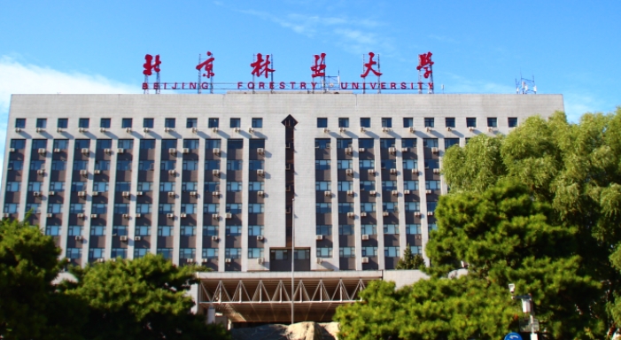 上海高考529分能上什么大学（2024年参考）