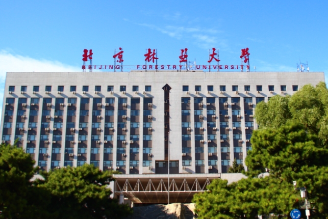 上海高考532分能上什么大学（2024年参考）