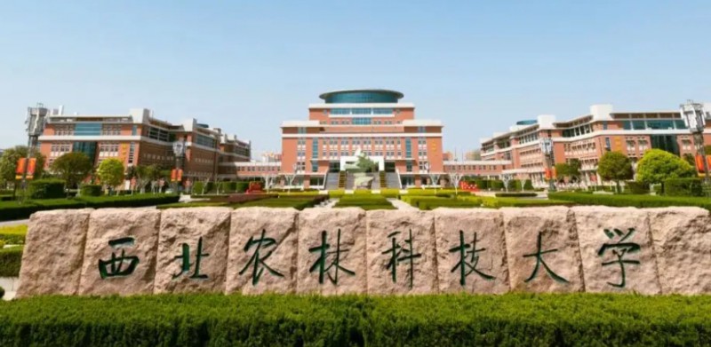 云南高考566分能上什么大学（2024年参考）