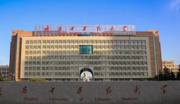 宁夏高考493分能上什么大学（2024年参考）