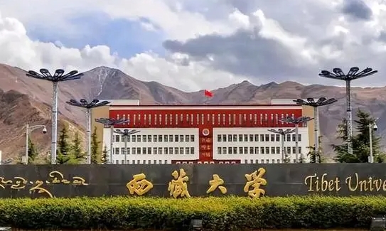 云南高考544分能上什么大学（2024年参考）