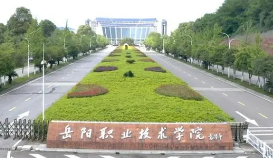 云南高考288分能上什么大学（2024年参考）