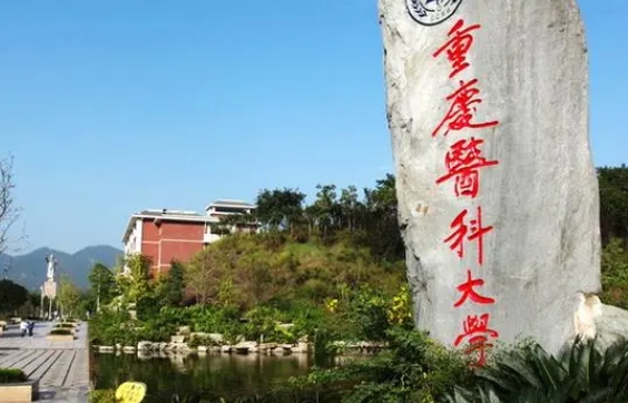 云南高考551分能上什么大学（2024年参考）