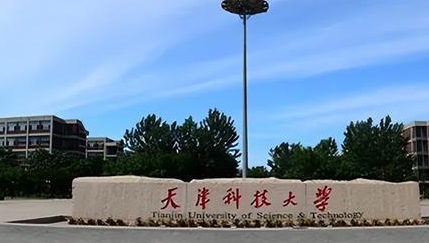 内蒙古高考504分能上什么大学（2024年参考）