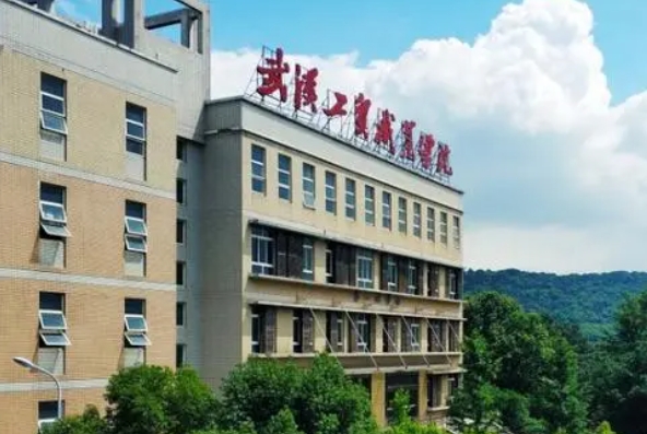 武汉工贸职业学院2024年招生章程