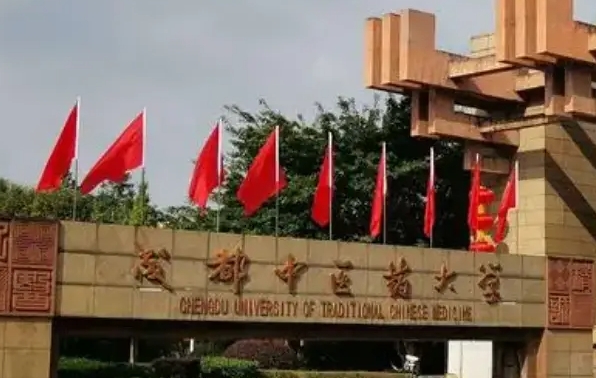 成都中医药大学中外合作办学学费（2024）