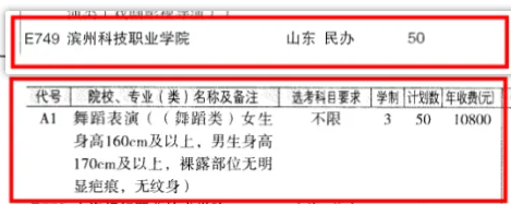 2024滨州科技职业学院艺术类学费多少钱一年-各专业收费标准