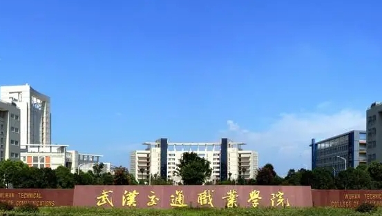 武汉交通职业学院中外合作办学学费（2024）