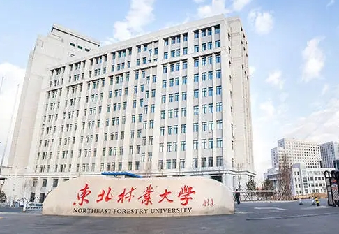 木材科学与工程专业院校排名（2025年参考）