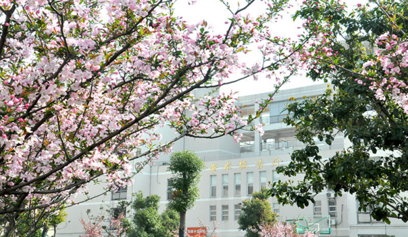 江苏2025年读铁路学校要多少钱