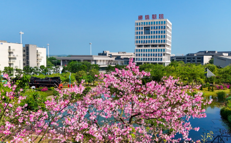 广西2025年附近有哪些铁路学校