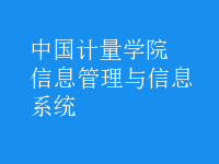 信息管理与信息系统