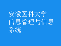 信息管理与信息系统