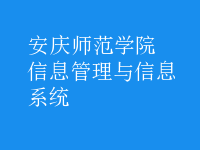 信息管理与信息系统