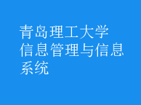 信息管理与信息系统