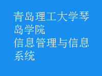 信息管理与信息系统