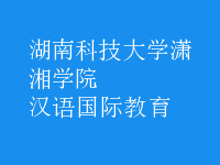 汉语国际教育