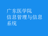 信息管理与信息系统