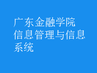 信息管理与信息系统