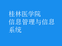 信息管理与信息系统