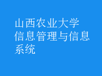 信息管理与信息系统