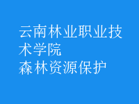 森林资源保护