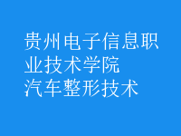 汽车整形技术