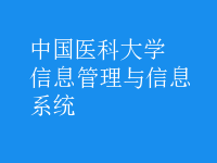 信息管理与信息系统