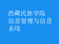 信息管理与信息系统