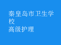 高级护理