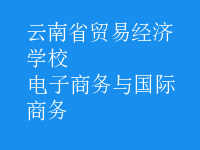 电子商务与国际商务