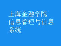 信息管理与信息系统