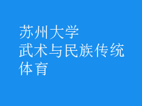 武术与民族传统体育