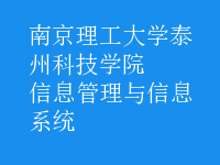 信息管理与信息系统